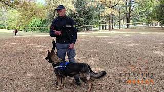 Polizia Di Stato - ordine pubblico - IL MONDO DEL CANE DA LAVORO Attacchi di Design 2025