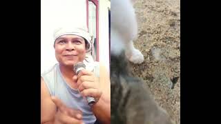 Download Lagu Aya susanti #aiyasusanti #comedy #susanti #aiyaciksiti #funny #humor #shorts MP3