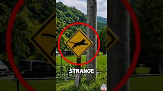 DON’T IGNORE THIS STRANGE DOG SIGN ⚠️🐶