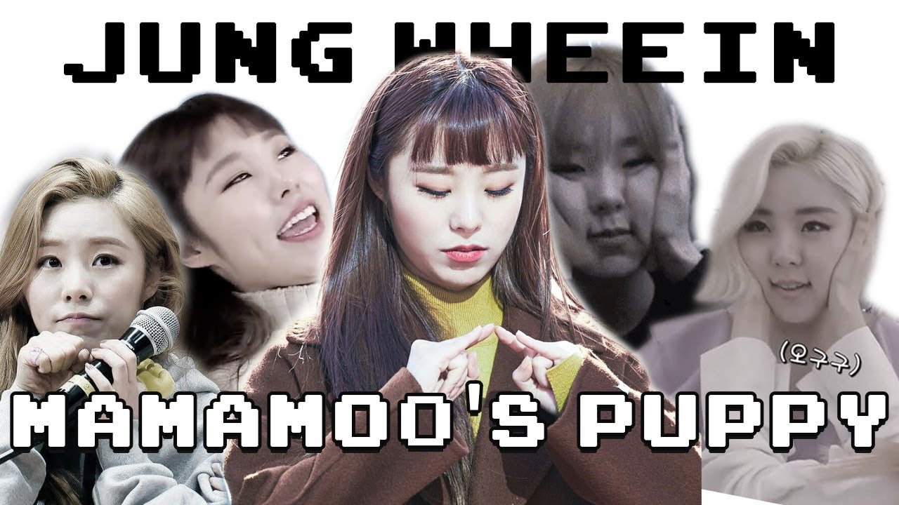 Wheein: Mamamoo's Puppy