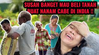 Susah Banget Nyari Yang Jual Tanah Di India Buat Nanam Cabai 