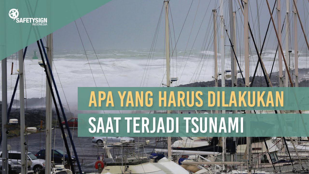 Apa Yang Harus Dilakukan Saat Terjadi Tsunami - YouTube