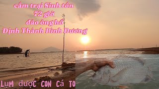 Chiến cắm trại,Sinh tồn trên đảo hoang 72 giờ lụm được cá to trôi sông