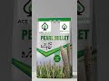 ACE SEEDS Faisalabad Office