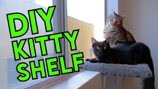 How to Build a Removable KITTY PLATFORM for Your Window!!! (No Permanent Modifications)