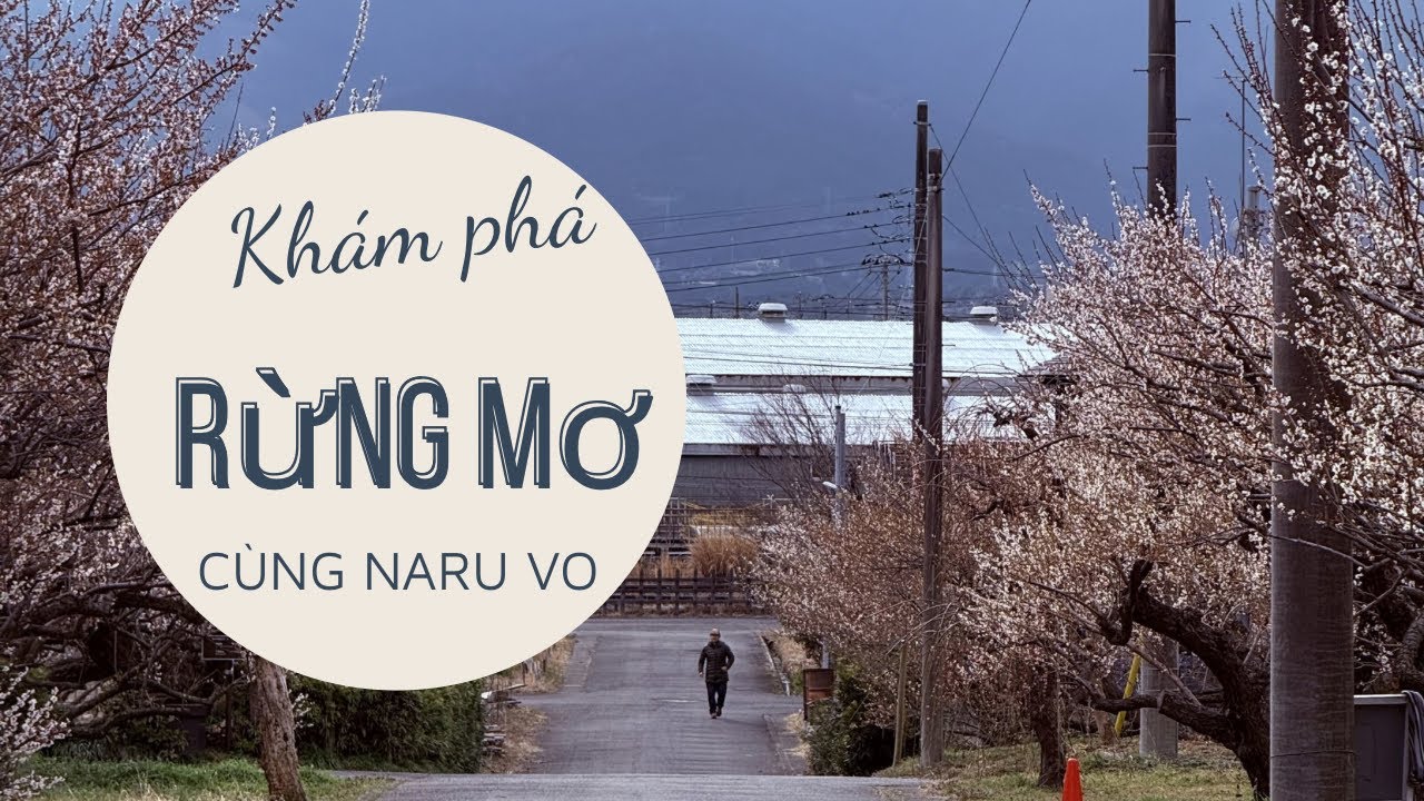 Khám phá rừng mơ cùng Naru Vo 