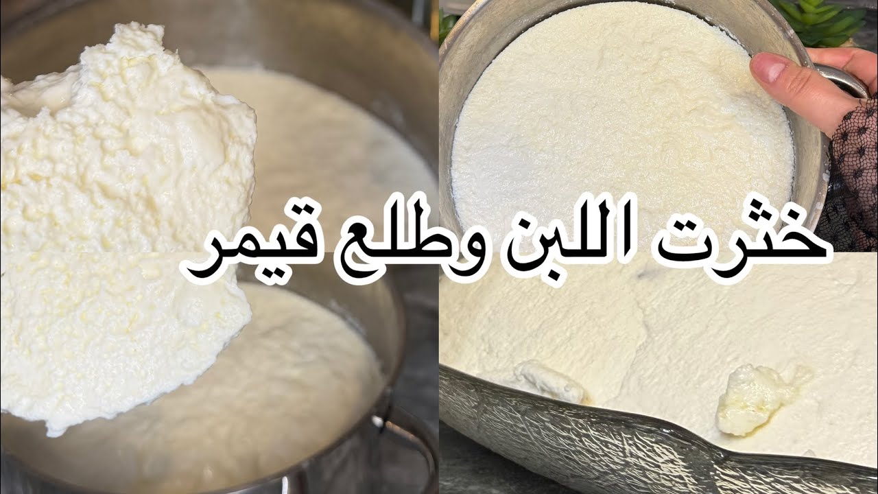  طريقة  أمي بتخثير   اللبن 👍🏻 طالع وجه اللبن عندي مثل القيمر ولا نقطة مي مافيه 