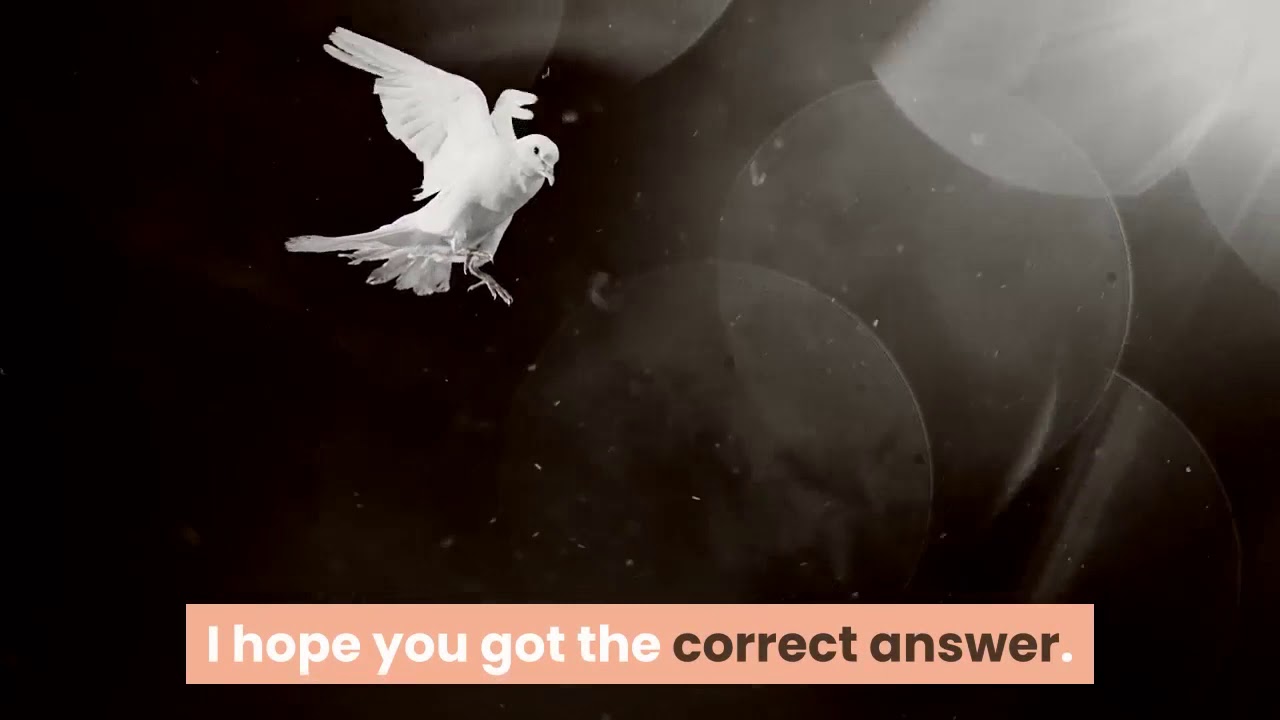 What are the best social media tools for businesses and why?