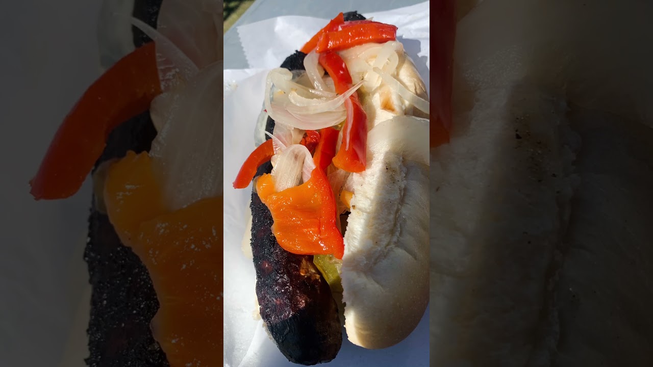 Uprise Festival 9/16/2023 Collage Video