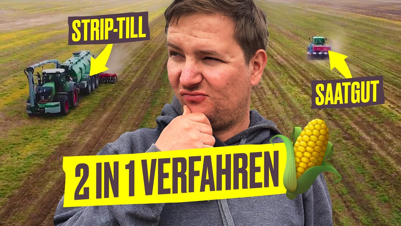 echte knstliche weihnachtsbume Knstlicher Weihnachtsbaum