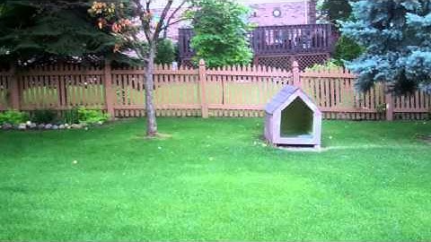 Exalt Bolt VS Stock Geo 2/2.1 Bolt