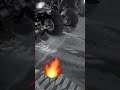 تنفيل بالرابتر