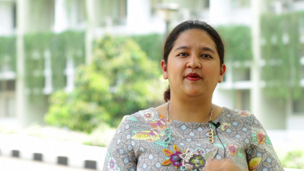 SFD: The Indonesian Case (full version)