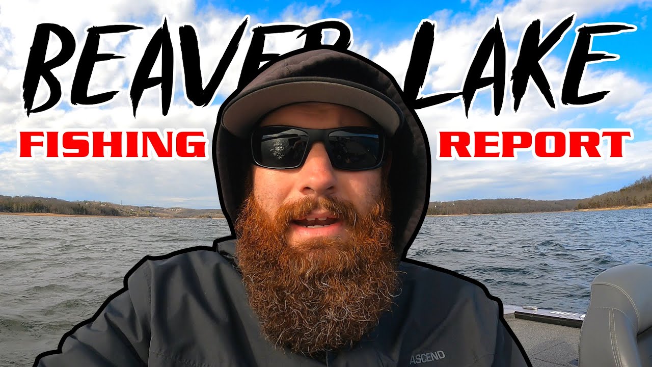 Beaver Lake Fishing Report January 2023 YouTube