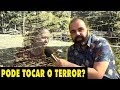 O POVO TEM OPINIÃO - A Criançada pode tocar o terror?