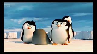 Kisah Penguin Pencari Link Bk3P