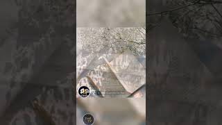 Top 10 Famous Books Of 2023 A Must-Read Collection