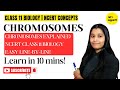 What is Chromosomes ? | Chromosomes Explained | NCERT Class 11 Biology | Easy Line-by-Line Explained