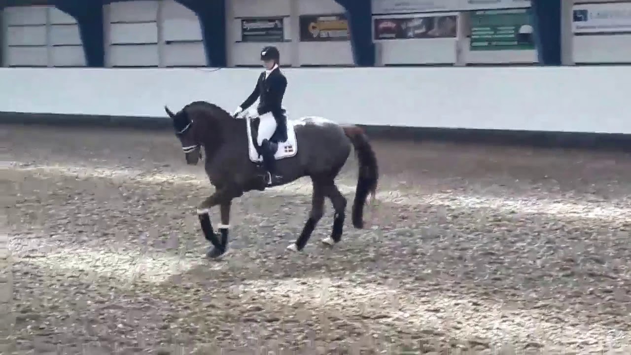 dufour bohemian verkka 20180426 video 1524752947