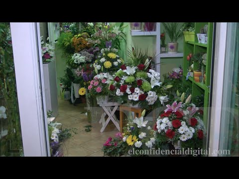 Video: Que Flores Llevar Al Funeral