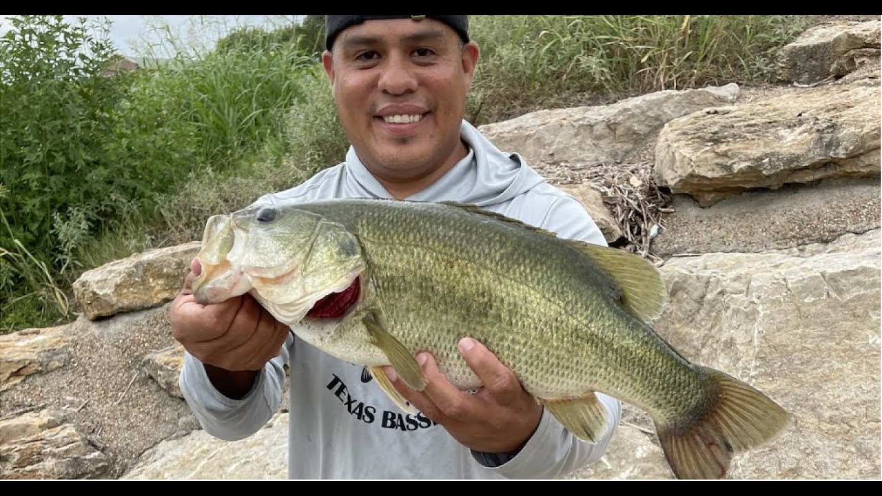 Ft. Worth BIG BASS IN THE TRINITY RIVER 🔥🐟