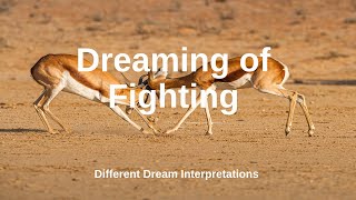 Dreaming of Fighting - Dream Interpretations
