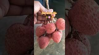 A Random day in my life 😀 #shortvideo #minivlog #food #adayinmylife#jugraafiya
