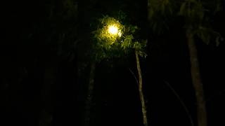 Download Lagu #muziek #remix #elektronischemuziek #dj #auto #nieuwemuziek #djmusic #landbouw #levenismaareendroom MP3