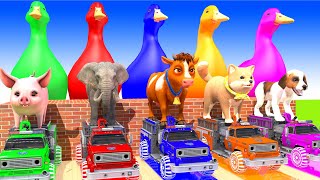 5 Giant Duck, Monkey, Piglet, chicken, dog, elephant, cow, sheep Transfiguration funny animal 2023