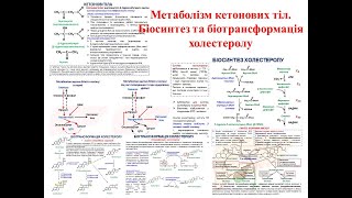 Крок 1 Біохімія. Метаболізм кетонових тіл. Біосинтез та біотрансформація холестеролу
