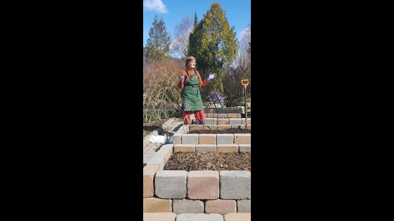 Drivhus og kjøkkenhage med Ingrid Marie/Blirbra 2021