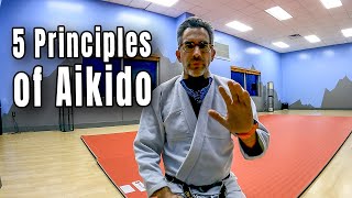 The 5 Principles of Aikido | Beginner Aikido Warrior Wednesday