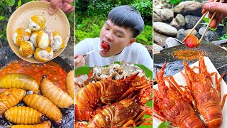 Best real food ever! | Grilled Strawberry, Cotton Big Lobster | TikTok Funny Videos