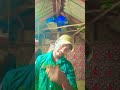 pahle adaon ki bijali bijali gira hai #viral #song