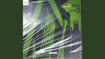 Quantum Asteroid Field