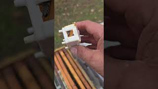 11.10.2025 Main Transfer Successful