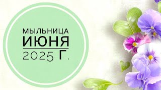 :   2025 . ,       .