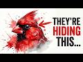 The Secrets Lives Of Backyard Birds After Dark