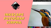 www.youtube.com