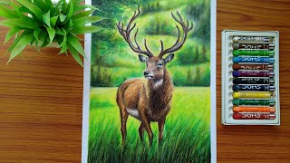 Deer Drawing With Oil Pastel Colours /Wildlife