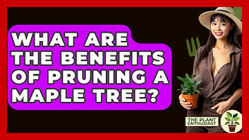What Are The Benefits Of Pruning A Maple Tree? - The Plant Enthusiast