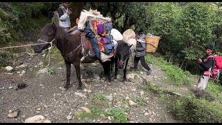     The Reality of Life in a Remote Village