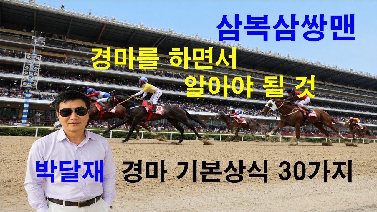 경마예상#경마 기본 상식#삼복삼쌍맨#박달재#경마를 하면서 알아야 될 것