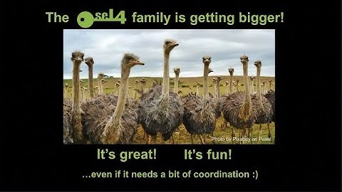 The seL4 Foundation – Progress & Vision