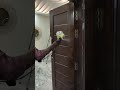walnut color main door pu matt finish coating🪞🪑🛋🚪 #youtubeshorts #ytshorts #shorts #doors #furniture