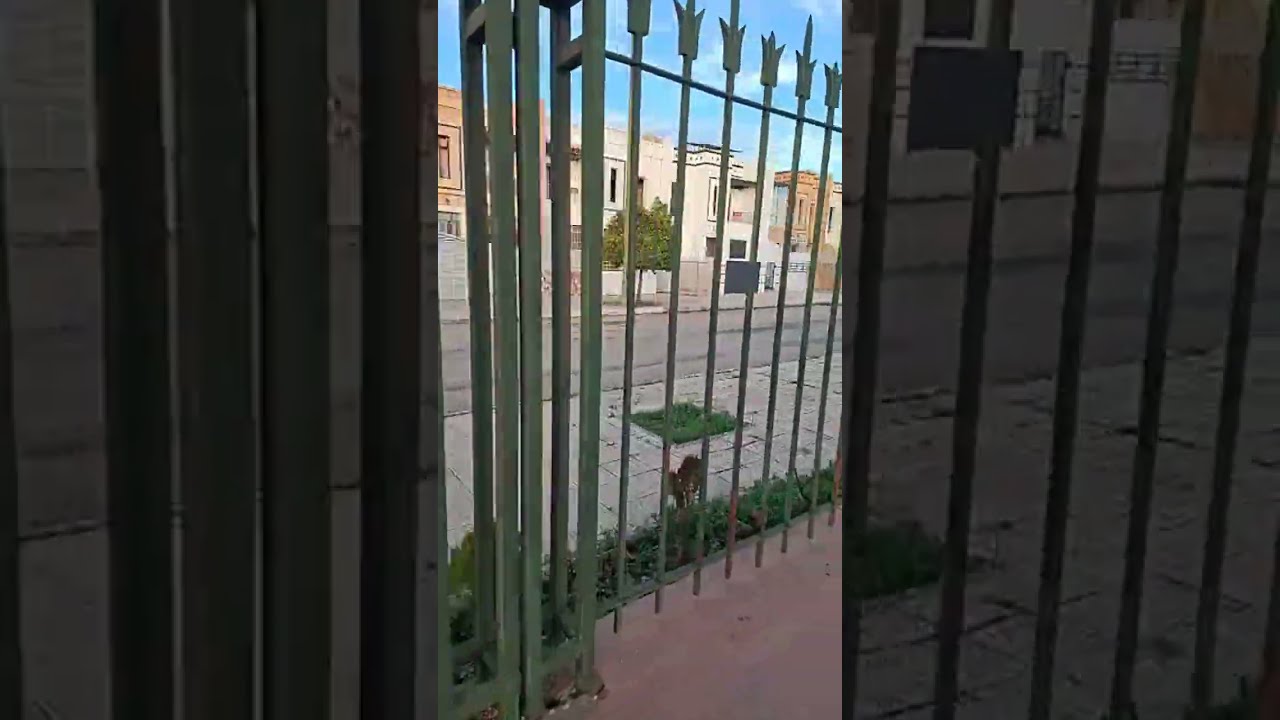 نزهة في أجواء ما بعد التساقطات المطرية 