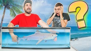 Whats in the Box CHALLENGE (UNDERWATER VERSION) ** TOUCHING POISON FISH **