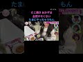 れなぁ間違ってないぞ! #守屋麗奈 #櫻坂 #そこ曲がったら櫻坂