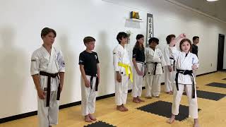 High Area Block - Seiken Jodan Uke