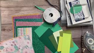 Introducing Shy Shamrock with Unbounded Beauty
